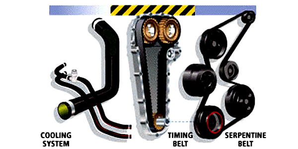 Hose and Belt Replacement